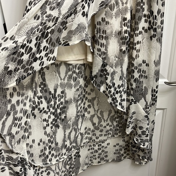 Express Animal Print Dress - Picture 4 of 4